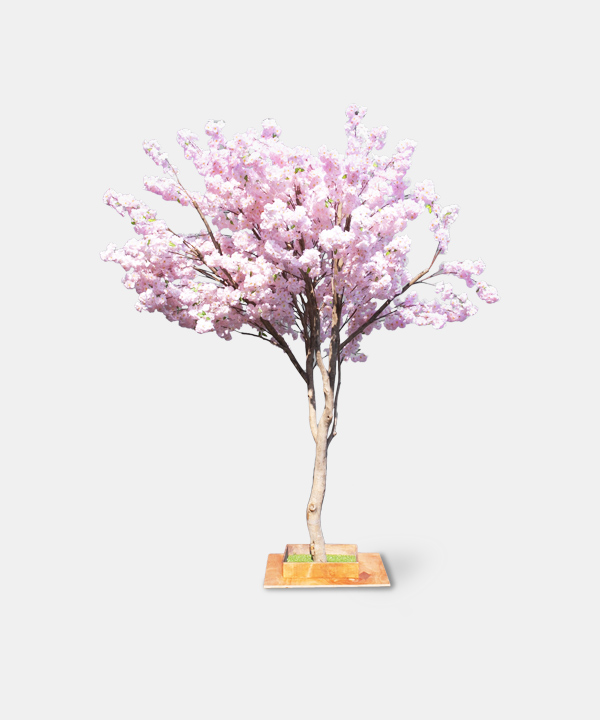 벚꽃나무.18009