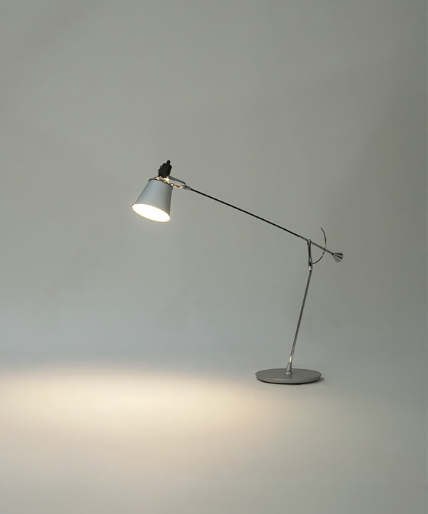 101343. [mesa Nunk] 단스텐드